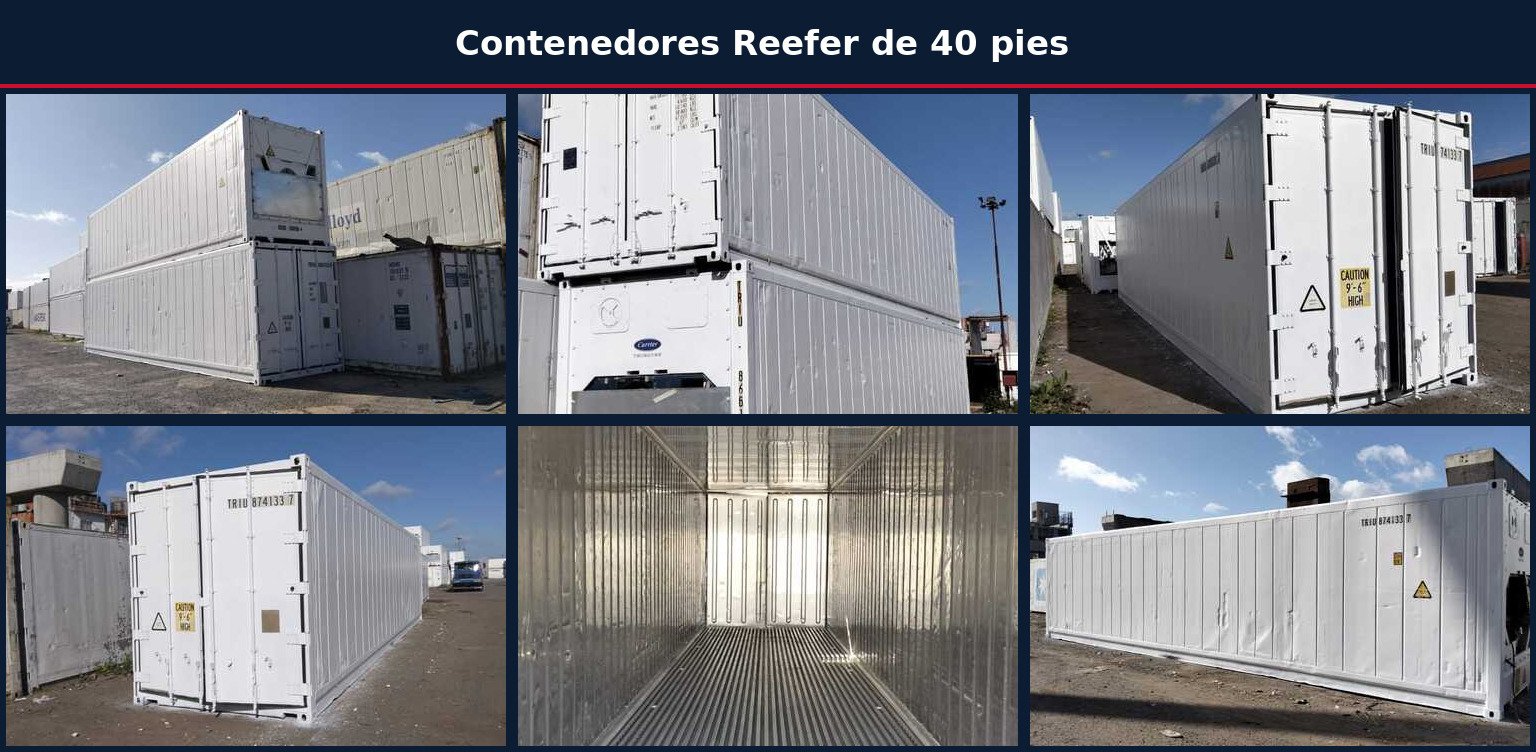 Contenedores Reefer de 40 pies - New Support